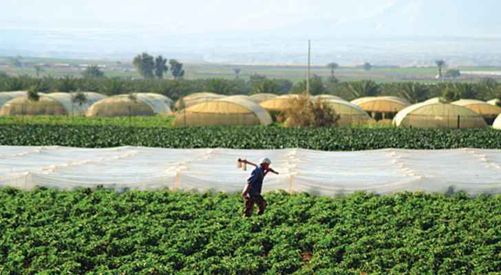 Agriculture: Jordan's imports from Russia and Ukraine do not exceed 7 percent