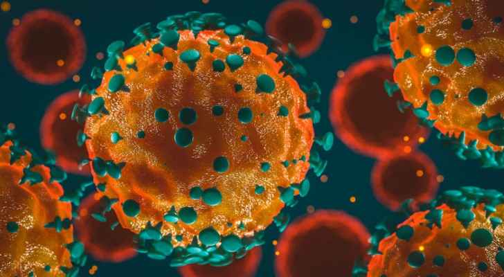 Jordan confirms 17 deaths and 1,731 coronavirus cases in one week