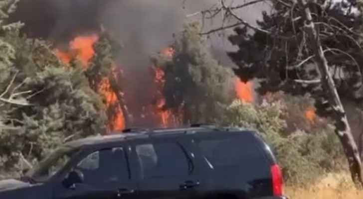 VIDEO: Horses escape as fire breaks out near Royal Stables in Amman