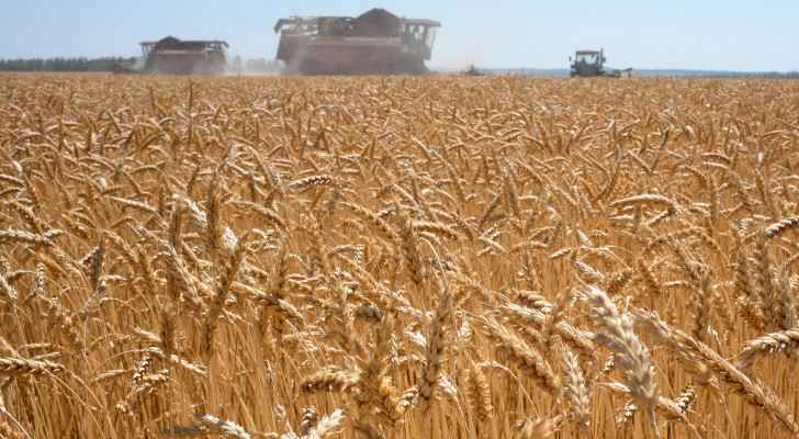 Russia and Ukraine try to solve grain crisis in Turkey