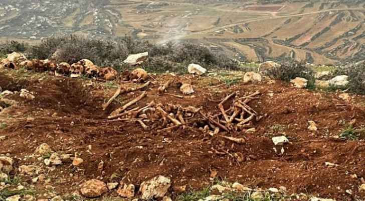 Remains of 11 individuals found in Jerusalem