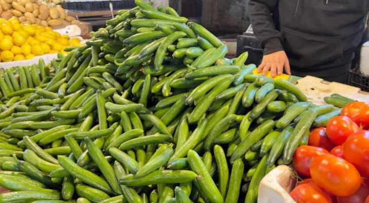 Cucumber prices skyrocket to JD 1.25 per kilogram