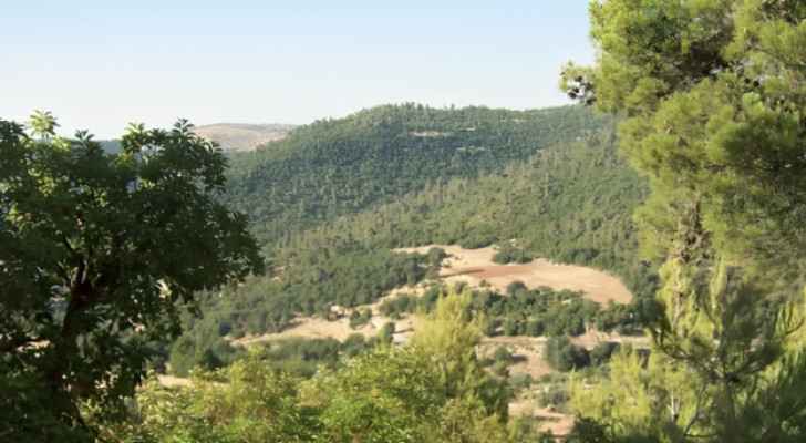 Ajloun's forests