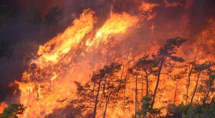 Forest fire temporarily halts maritime traffic in Turkey
