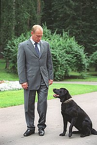 Putin and his dog, Konni.